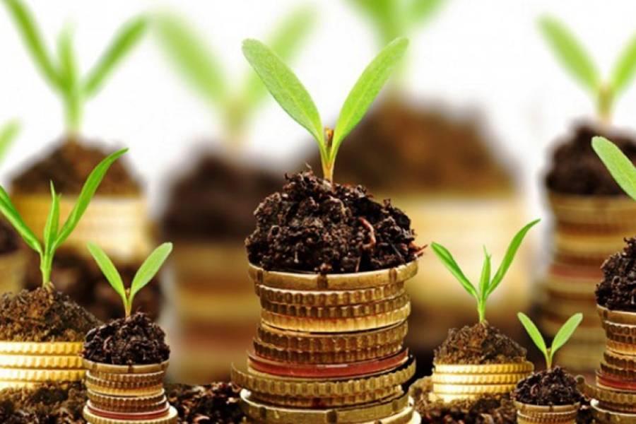 Best Business Consulting